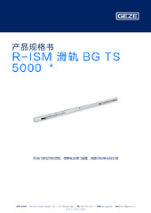 R-ISM 滑轨 BG TS 5000  * 产品规格书 ZH