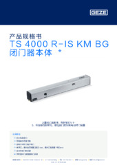 TS 4000 R-IS KM BG 闭门器本体  * 产品规格书 ZH