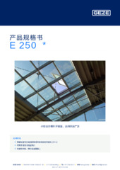 E 250  * 产品规格书 ZH