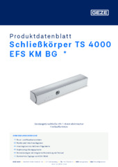 Schließkörper TS 4000 EFS KM BG  * Produktdatenblatt DE