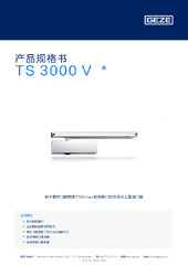TS 3000 V  * 产品规格书 ZH