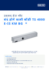 बंद होने वाली बॉडी TS 4000 E-IS KM BG  * उत्पाद डेटा शीट HI