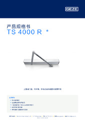 TS 4000 R  * 产品规格书 ZH