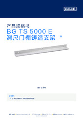 BG TS 5000 E 滑尺门楣铸造支架  * 产品规格书 ZH