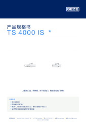 TS 4000 IS  * 产品规格书 ZH