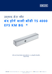 बंद होने वाली बॉडी TS 4000 EFS KM BG  * उत्पाद डेटा शीट HI