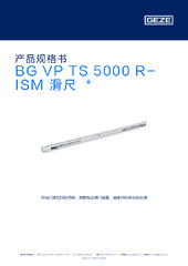 BG VP TS 5000 R-ISM 滑尺  * 产品规格书 ZH