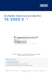 TS 3000 V  * Scheda tecnica prodotto IT