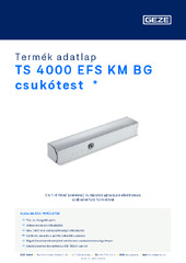 TS 4000 EFS KM BG csukótest  * Termék adatlap HU