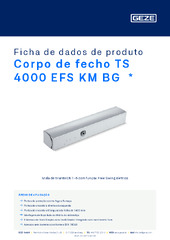 Corpo de fecho TS 4000 EFS KM BG  * Ficha de dados de produto PT