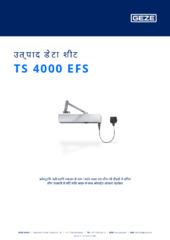 TS 4000 EFS उत्पाद डेटा शीट HI