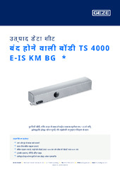 बंद होने वाली बॉडी TS 4000 E-IS KM BG  * उत्पाद डेटा शीट HI