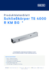 Schließkörper TS 4000 R KM BG  * Produktdatenblatt DE