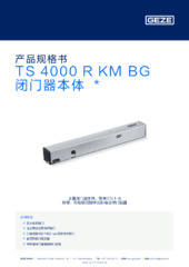 TS 4000 R KM BG 闭门器本体  * 产品规格书 ZH