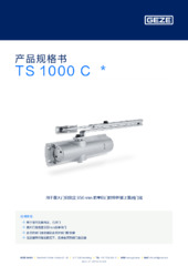 TS 1000 C  * 产品规格书 ZH