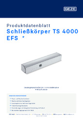 Schließkörper TS 4000 EFS  * Produktdatenblatt DE
