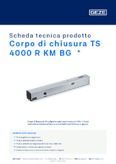 Corpo di chiusura TS 4000 R KM BG  * Scheda tecnica prodotto IT