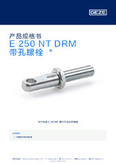 E 250 NT DRM 带孔螺栓  * 产品规格书 ZH