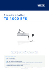 TS 4000 EFS Termék adatlap HU