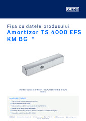 Amortizor TS 4000 EFS KM BG  * Fișa cu datele produsului RO