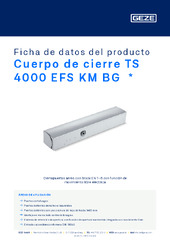 Cuerpo de cierre TS 4000 EFS KM BG  * Ficha de datos del producto ES