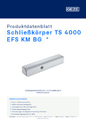 Schließkörper TS 4000 EFS KM BG  * Produktdatenblatt DE