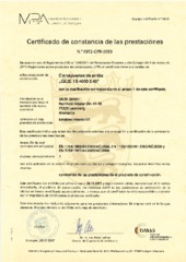 Certificado ES (1205653)