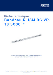 Bandeau R-ISM BG VP TS 5000  * Fiche technique FR