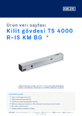 Kilit gövdesi TS 4000 R-IS KM BG  * Ürün veri sayfası TR