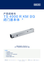 TS 4000 R KM BG 闭门器本体  * 产品规格书 ZH
