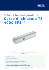 Corpo di chiusura TS 4000 EFS  * Scheda tecnica prodotto IT