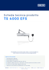 TS 4000 EFS Scheda tecnica prodotto IT