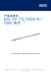 BG VP TS 5000 R-ISM 滑尺  * 产品规格书 ZH