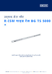 R-ISM गाइड रेल BG TS 5000  * उत्पाद डेटा शीट HI