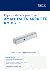 Amortizor TS 4000 EFS KM BG  * Fișa cu datele produsului RO