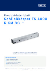 Schließkörper TS 4000 R KM BG  * Produktdatenblatt DE