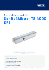 Schließkörper TS 4000 EFS  * Produktdatenblatt DE