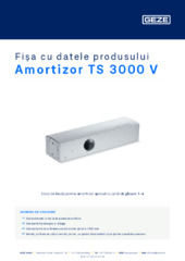 Amortizor TS 3000 V Fișa cu datele produsului RO