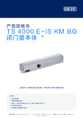 TS 4000 E-IS KM BG 闭门器本体  * 产品规格书 ZH