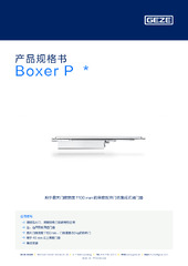Boxer P  * 产品规格书 ZH