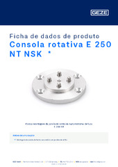 Consola rotativa E 250 NT NSK  * Ficha de dados de produto PT