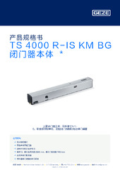 TS 4000 R-IS KM BG 闭门器本体  * 产品规格书 ZH