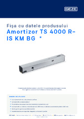 Amortizor TS 4000 R-IS KM BG  * Fișa cu datele produsului RO