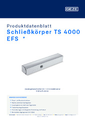 Schließkörper TS 4000 EFS  * Produktdatenblatt DE