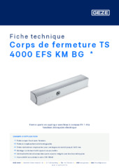 Corps de fermeture TS 4000 EFS KM BG  * Fiche technique FR