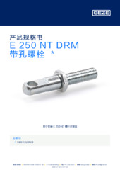 E 250 NT DRM 带孔螺栓  * 产品规格书 ZH