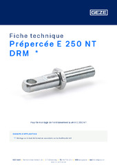 Prépercée E 250 NT DRM  * Fiche technique FR