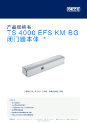 TS 4000 EFS KM BG 闭门器本体  * 产品规格书 ZH