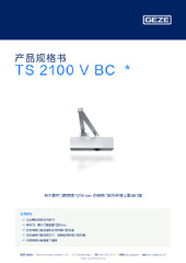 TS 2100 V BC  * 产品规格书 ZH