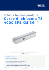 Corpo di chiusura TS 4000 EFS KM BG  * Scheda tecnica prodotto IT